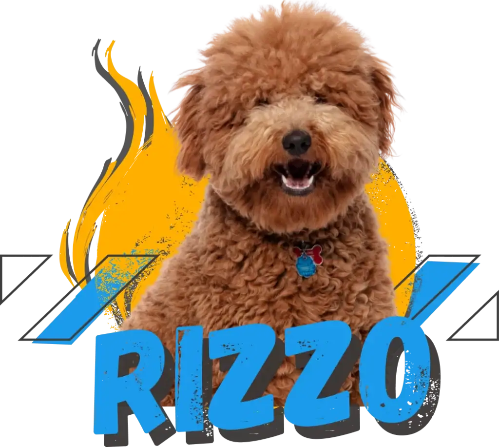 Rizzo, Paragon Accounting’s dog mascot and member of the Council of Treats and Vibe