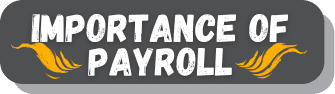 grey button that says importance of payroll